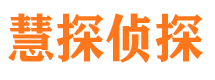 雁塔市侦探公司